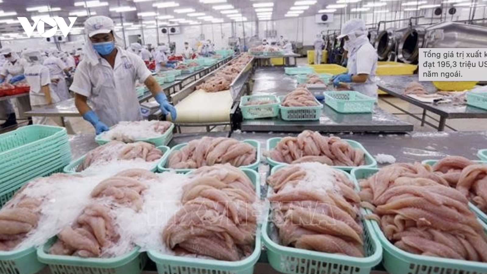 Pangasius exports to Canada see 10% over 10 months